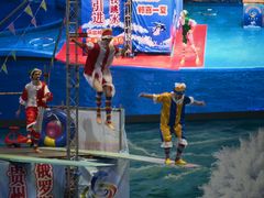 -多彩贵州城极地海洋世界