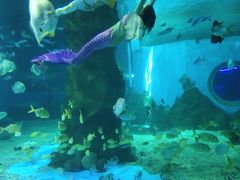 -北戴河圣蓝海洋公园