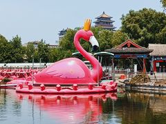 -莲花池公园