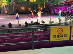 -广州长隆国际大马戏