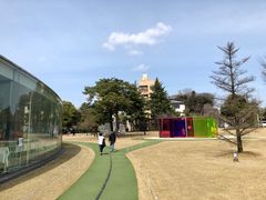 -金泽21世纪美术馆