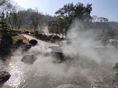 -东莞植物园
