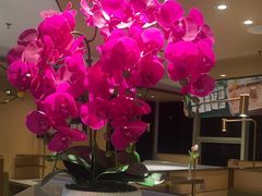 -海底捞火锅(旭辉MALL店)