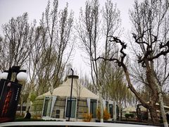 -九十九顶毡房(阜石路店)