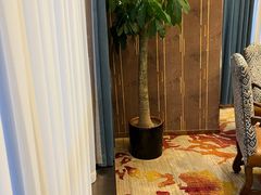 -皇朝尊会(龙之梦大酒店)