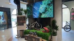 -Early Rider 儿童自行车(蓝色港湾店)