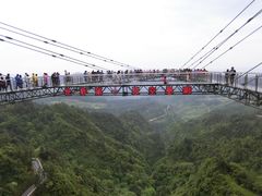 -梦幻奥陶纪景区