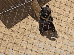 -石家庄市动物园