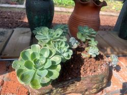 -南海地球村生态亲子乐园