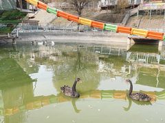 -北京鹿世界主题园