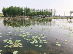 -滆湖低碳生态公园
