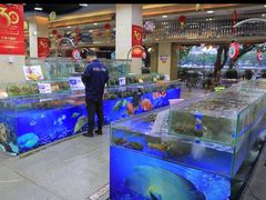 水产区-东江海鲜酒家(艺都分店)