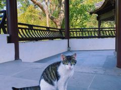 -上海佘山国家森林公园天马山园