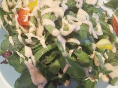 爽口冰草-懒人盐府人家(航天桥店)
