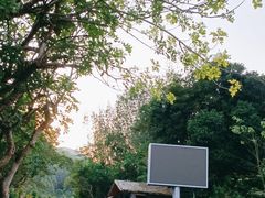 -海南热带雨林国家公园吊罗山景区