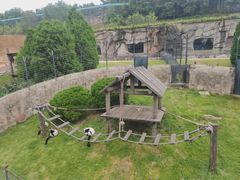 -大连森林动物园