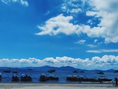 -广东惠东海龟国家级自然保护区