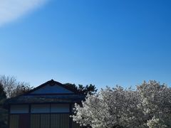-北京世界公园