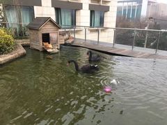 -行者书屋大堂吧 ·下午茶(南京圣和府邸酒店)