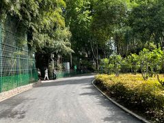 -西安市长乐公园