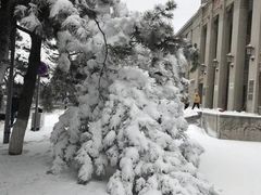 -东北大学(南湖校区)