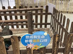 -弘阳·未来世界(弘阳广场店)