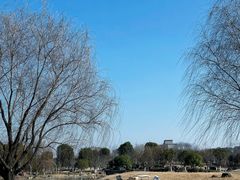 -径山花海
