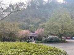 -乐山市博物馆