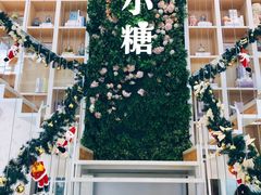 -苏小糖(鼓浪屿三丘田花园店)