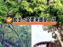 -三亚亚龙湾人间天堂鸟巢度假村