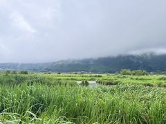 -腾冲北海湿地