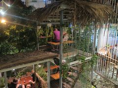 -Rainforest