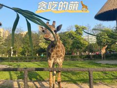 -南昌动物园