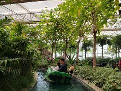 -南宫五洲植物乐园