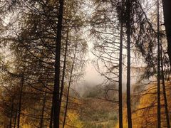 -硗碛藏寨·神木垒景区