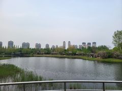 -群力丁香公园