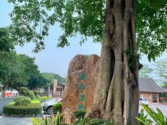 -大湾区中央湿地公园