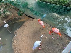 -西霞口神雕山野生动物世界