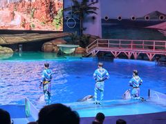-海合安武汉极地海洋公园