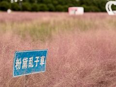 -嘉北郊野公园