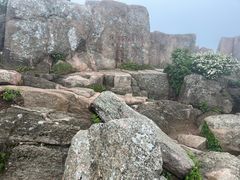 -泰山风景名胜区