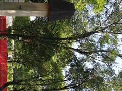 -广东外语外贸大学(白云山校区)