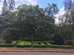 -大埔公路-马料水段香港中文大学(公交站)