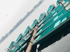 -柳浪闻莺公园