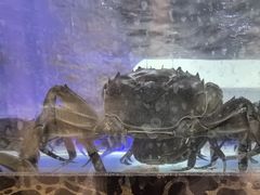 -七欣天香辣蟹火锅(万达广场店)