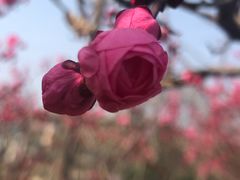 -鹦鹉寺公园