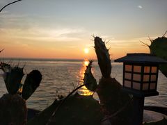 -东极岛景区