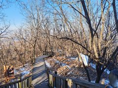 -帽儿山国家森林公园