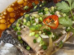 -先鲜鲫鱼粥