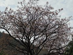 -浙江大学(玉泉校区)